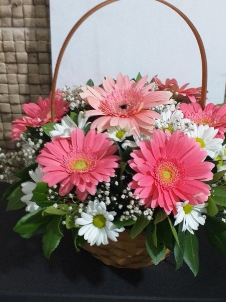 Renkli Gerbera Arajmanı