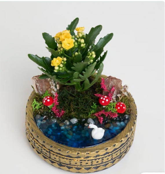 Teleryum kalanchoe