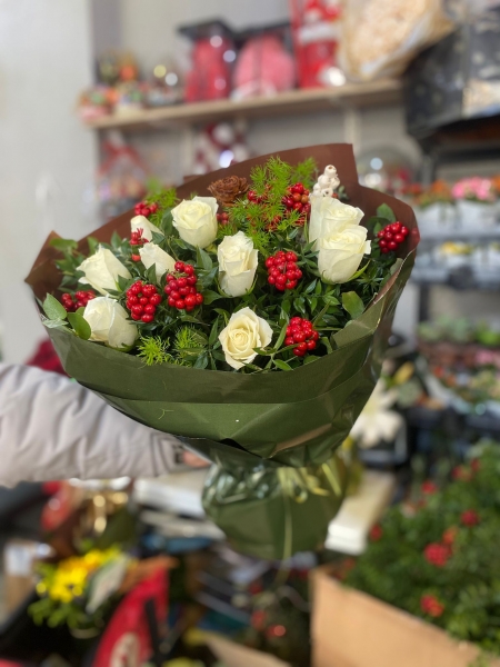 Kokina Çiçeği (Yılbaşı Çiçeği)