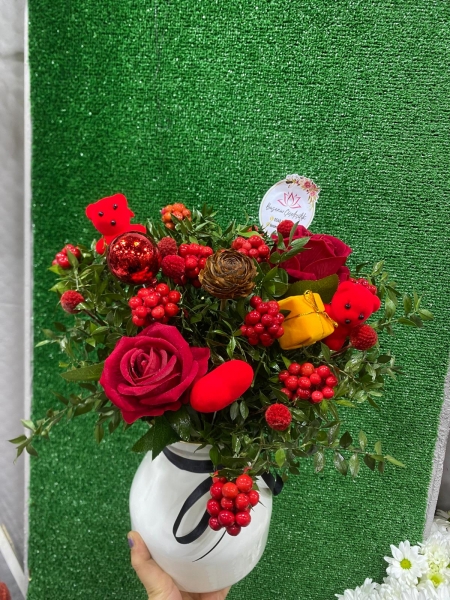 Kokina Çiçeği (Yılbaşı Çiçeği)